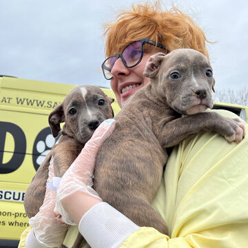 Two rescued puppies being held by a driver in front of the transport van